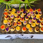 WhatsApp Image 2026-02-14 at 07.59.24 (1)