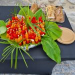 WhatsApp Image 2026-02-14 at 07.59.25