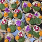 WhatsApp Image 2026-02-14 at 07.59.26